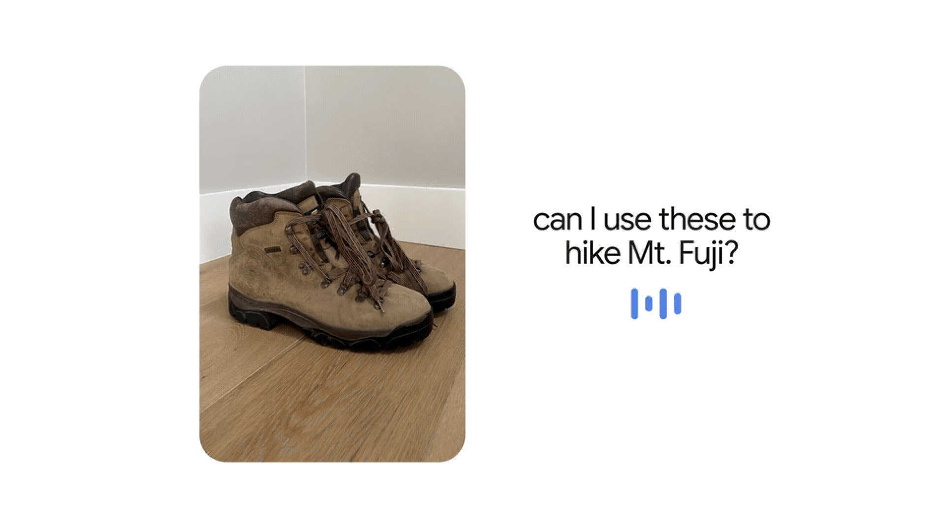can I use these to hike Mt. Fuji?