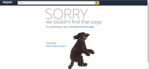 404エラー（404 not found）とは？原因と解決方法、有効な404